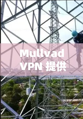 Mullvad VPN 提供了多种安全模式，这些模式可以根据用户的具体需求和网络环境进行配置。以下是其主要的安全模式及其功能介绍