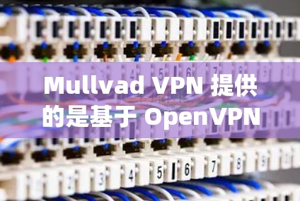 Mullvad VPN 提供的是基于 OpenVPN 的网络VPN服务，专为企业用户设计，提供安全的网络访问。以下是关于 Mullvad VPN 的一些基本信息