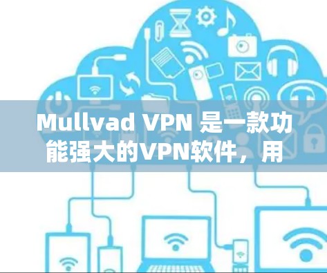 Mullvad VPN 是一款功能强大的VPN软件，用户可以在电脑上安全地访问远程服务器。如果你正在寻找最新版本的Mullvad VPN，以下是一些关键信息和推荐