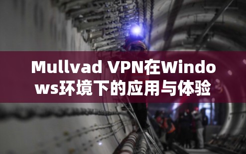 Mullvad VPN在Windows环境下的应用与体验
