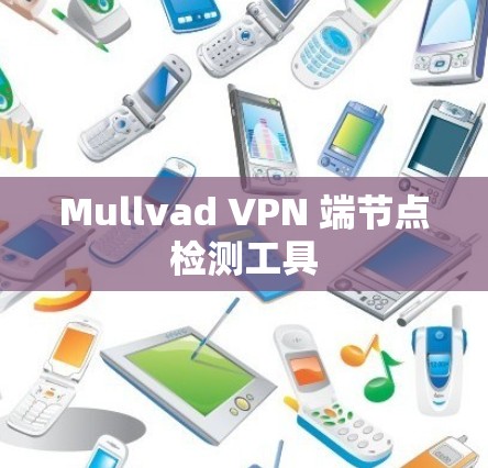 Mullvad VPN 端节点检测工具