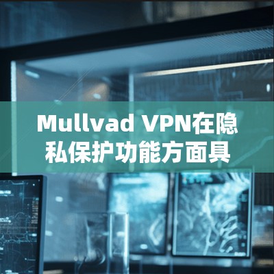 Mullvad VPN在隐私保护功能方面具有以下详细说明
