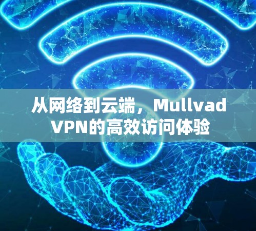 从网络到云端，Mullvad VPN的高效访问体验