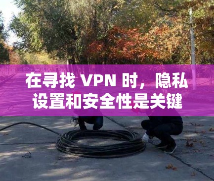 在寻找 VPN 时，隐私设置和安全性是关键。以下是一些替代方案，分为几个类别，帮助您进行选择