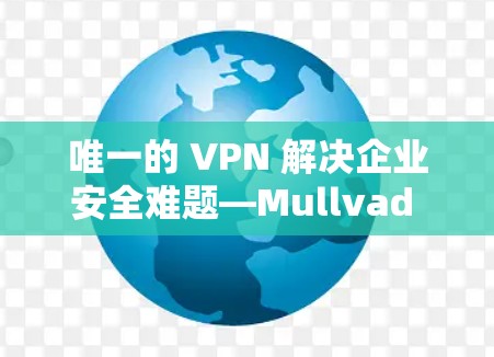 唯一的 VPN 解决企业安全难题—Mullvad VPN 稳定 VPN 软件