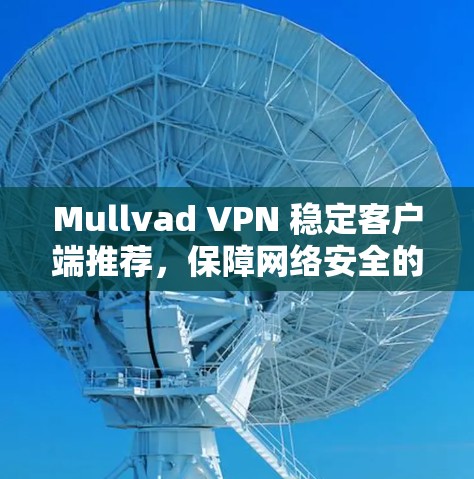 Mullvad VPN 稳定客户端推荐,保障网络安全的可靠选择 Mullvad VPN 稳定客户端推荐,保障网络安全的可靠选择