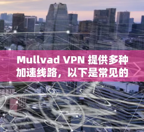 Mullvad VPN 提供多种加速线路,以下是常见的选择 Mullvad VPN 提供多种加速线路,以下是常见的选择