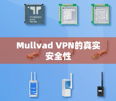 Mullvad VPN的真实安全性