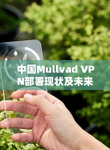 中国Mullvad VPN部署现状及未来展望