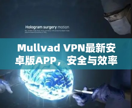 Mullvad VPN最新安卓版APP,安全与效率的完美平衡 Mullvad VPN最新安卓版APP,安全与效率的完美平衡