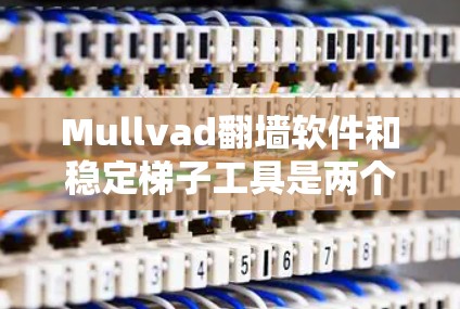 Mullvad翻墙软件和稳定梯子工具是两个不同的网络解决方案，它们各自针对不同的需求提供了独特的功能和技术