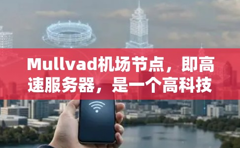 Mullvad机场节点，即高速服务器，是一个高科技基础设施，主要位于美国Mullvad机场，主要用于提供实时监控、数据分析和处理的网络设备。以下是对其结构和功能的详细说明