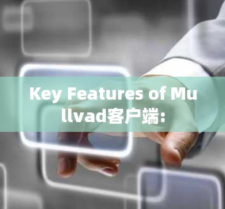 Key Features of Mullvad客户端: