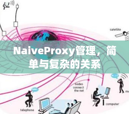 NaiveProxy管理，简单与复杂的关系
