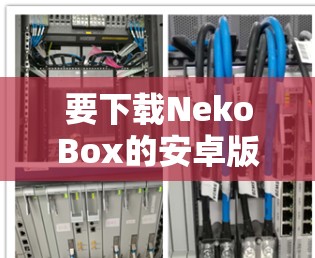 要下载NekoBox的安卓版,您可以按照以下步骤操作 要下载NekoBox的安卓版,您可以按照以下步骤操作