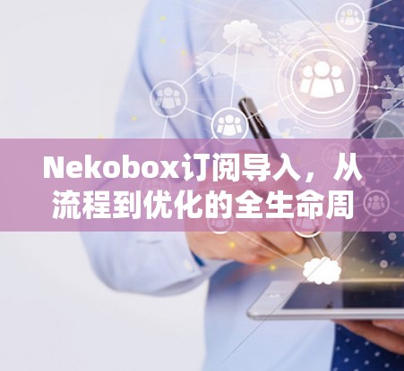 Nekobox订阅导入,从流程到优化的全生命周期管理 Nekobox订阅导入,从流程到优化的全生命周期管理