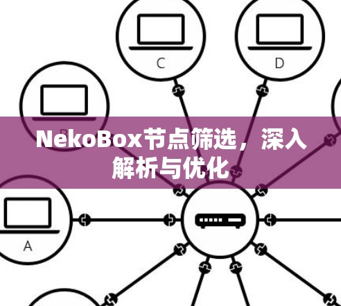 NekoBox节点筛选，深入解析与优化