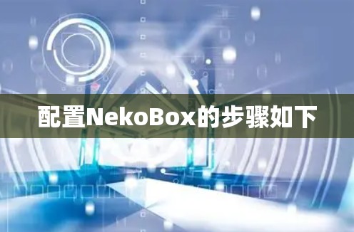配置NekoBox的步骤如下