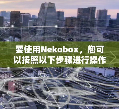 要使用Nekobox，您可以按照以下步骤进行操作