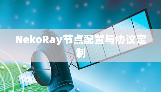 NekoRay节点配置与协议定制 NekoRay节点配置与协议定制