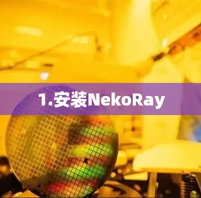 1.安装NekoRay