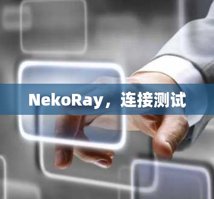 NekoRay,连接测试 NekoRay,连接测试