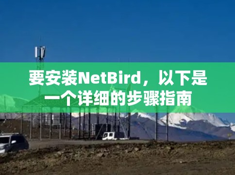 要安装NetBird，以下是一个详细的步骤指南