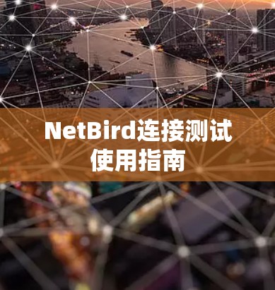 NetBird连接测试使用指南 NetBird连接测试使用指南