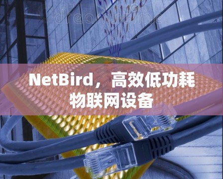 NetBird，高效低功耗物联网设备