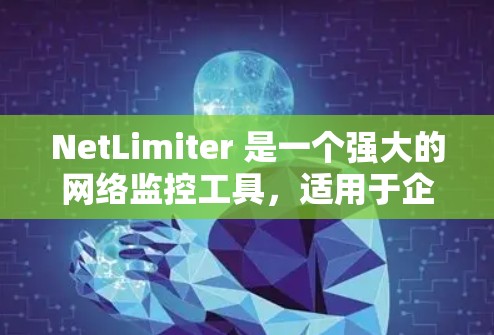NetLimiter 是一个强大的网络监控工具，适用于企业用户进行实时监控和分析。以下是对 NetLimiter 的详细总结