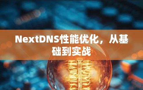 NextDNS性能优化，从基础到实战