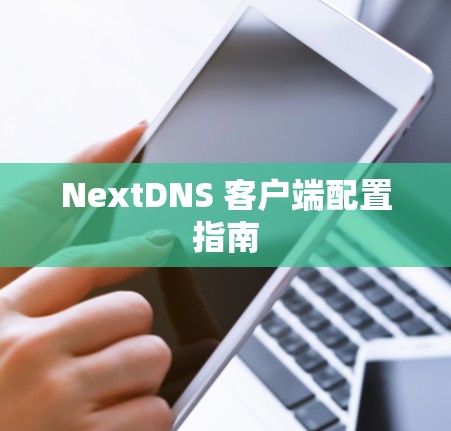 NextDNS 客户端配置指南