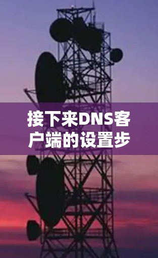 接下来DNS客户端的设置步骤如下