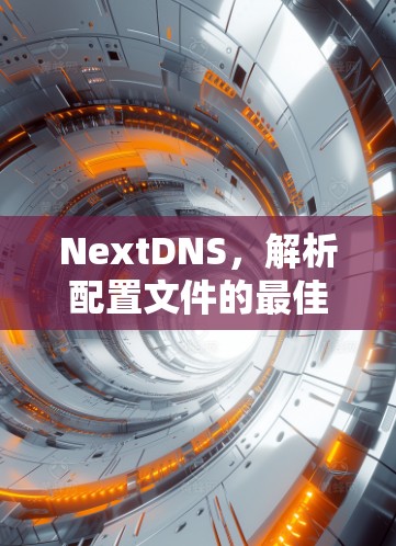 NextDNS，解析配置文件的最佳实践