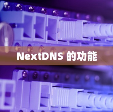 NextDNS 的功能