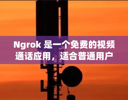 Ngrok 是一个免费的视频通话应用,适合普通用户使用。以下是安装指南