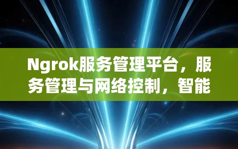 Ngrok服务管理平台，服务管理与网络控制，智能网联创新
