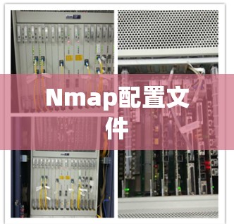 Nmap配置文件