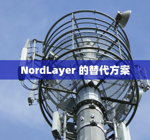 NordLayer 的替代方案 NordLayer 的替代方案