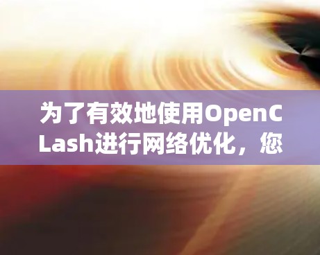 为了有效地使用OpenCLash进行网络优化，您可以按照以下步骤进行操作