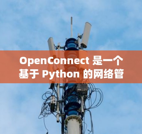 OpenConnect 是一个基于 Python 的网络管理工具，旨在为用户提供高效、安全的网络连接管理。以下是一个简要的 OpenConnect 服务器连接的步骤说明
