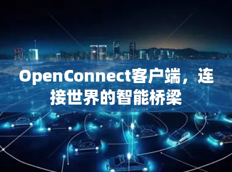 OpenConnect客户端,连接世界的智能桥梁 OpenConnect客户端,连接世界的智能桥梁