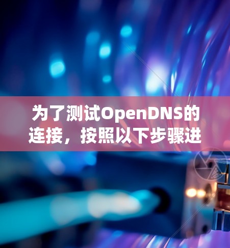 为了测试OpenDNS的连接，按照以下步骤进行
