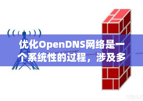 优化OpenDNS网络是一个系统性的过程，涉及多个步骤和步骤之间的协调。以下是一个有条理的优化指南，帮助您系统地优化OpenDNS网络