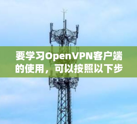 要学习OpenVPN客户端的使用,可以按照以下步骤进行 要学习OpenVPN客户端的使用,可以按照以下步骤进行