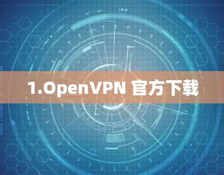 1.OpenVPN 官方下载 1.OpenVPN 官方下载