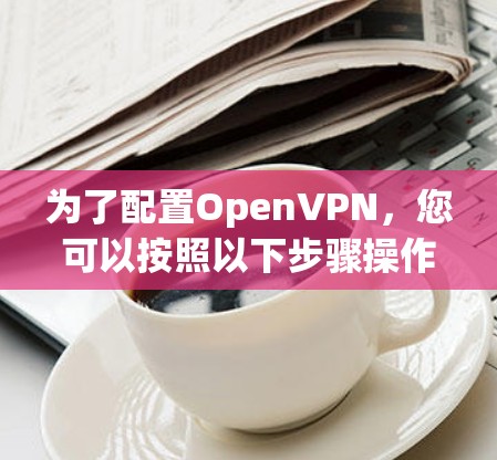 为了配置OpenVPN,您可以按照以下步骤操作 为了配置OpenVPN,您可以按照以下步骤操作