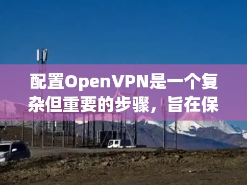配置OpenVPN是一个复杂但重要的步骤，旨在保护数据的安全和隐私。以下是一个详细的配置指南，分为多个阶段，帮助您系统地进行配置
