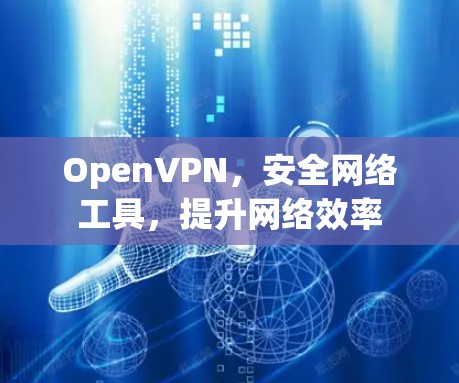 OpenVPN，安全网络工具，提升网络效率