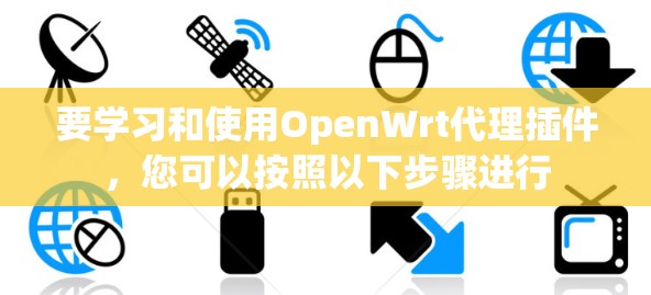 要学习和使用OpenWrt代理插件，您可以按照以下步骤进行